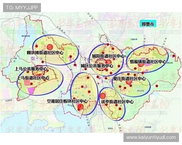 开云中国区高管团队的组成结构与人才战略布局揭秘